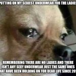 crying dog | PUTTING ON MY SEXIEST UNDERWEAR FOR THE LADIES; REMEMBERING THERE ARE NO LADIES AND THERE ISN'T ANY SEXY UNDERWEAR JUST THE SAME ONES THAT HAVE BEEN HOLDING ON FOR DEAR LIFE SINCE 2011 | image tagged in crying dog | made w/ Imgflip meme maker