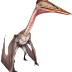Hatzegopteryx (JWTG Design)