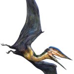 Hatzegopteryx (JWA Design)