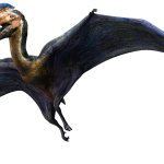 Hatzegopteryx 2 (JWA Design)