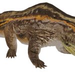Proterogyrinus (JWTG Design)