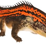 Level 40 Proterogyrinus