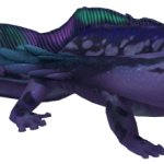 Level 40 Diploceraspis