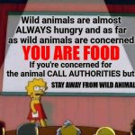 You. Are. Food. | Wild animals are almost ALWAYS hungry and as far as wild animals are concerned; YOU ARE FOOD; If you're concerned for the animal CALL AUTHORITIES but; STAY AWAY FROM WILD ANIMALS | image tagged in lisa simpson speech,memes,animals,wild animals,dangerous,danger | made w/ Imgflip meme maker