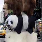real we bare bears meme