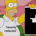 Heavily Redacted documents