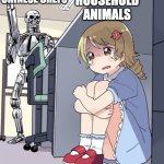 Um.. No Offense, Chinese, BUT WHY DO YOU GUYS EAT CATS AND DOGS??? | HOUSEHOLD ANIMALS; CHINESE CHEFS | image tagged in anime girl hiding from terminator,china,food | made w/ Imgflip meme maker