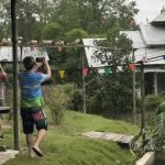 Pig Pool | image tagged in gifs,pig pool | made w/ Imgflip video-to-gif maker