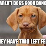 Daily Bad Dad Joke 05/29/2025 | WHY AREN'T DOGS GOOD DANCERS? THEY HAVE TWO LEFT FEET. | image tagged in dissapointed puppy | made w/ Imgflip meme maker