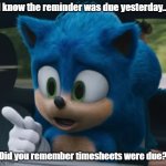 Sonic Asks Timesheet reminder | I know the reminder was due yesterday... Did you remember timesheets were due? | image tagged in sonic point,timesheets,reminder,timesheet due,sonic hedgehog | made w/ Imgflip meme maker