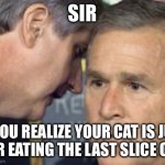 George Bush 9/11 | SIR; WHEN YOU REALIZE YOUR CAT IS JUDGING YOU FOR EATING THE LAST SLICE OF PIZZA | image tagged in george bush 9/11 | made w/ Imgflip meme maker