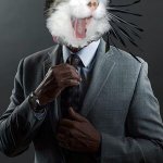 Screaming Gustavo Cat