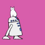 cat-r2d2 GIF Template