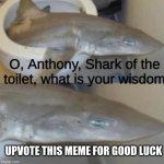 Anthony, Shark of the Toilet | UPVOTE THIS MEME FOR GOOD LUCK | image tagged in anthony shark of the toilet | made w/ Imgflip meme maker