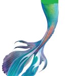 green tail