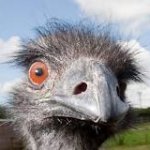 you got games on ur phone??