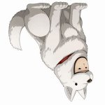 Watchdog man