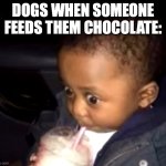 And that dog is cooked thanks to theobromine | DOGS WHEN SOMEONE FEEDS THEM CHOCOLATE: | image tagged in uh oh drinking kid,funny,memes,dogs,chocolate,real | made w/ Imgflip meme maker