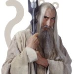 Saruman the Saru Man