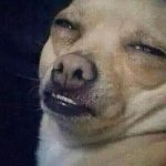 Ick Dog