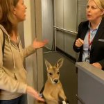 Kangaroo Airplane