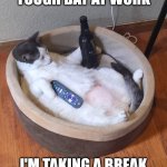 Beer Cat | TOUGH DAY AT WORK; I'M TAKING A BREAK | image tagged in beer cat | made w/ Imgflip meme maker