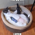 Beer Cat | I'LL DO IT... LATER | image tagged in beer cat | made w/ Imgflip meme maker