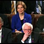 Democrat senators