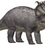 Pachyrhinosaurus (JWCT Design)