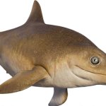 Ichthyosaurus (JWE Design)