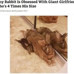 Tiny rabbit is obsessed with giant girlfriend