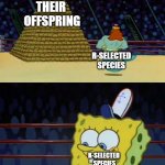 King Neptune vs Spongebob | THEIR 
OFFSPRING; R-SELECTED
SPECIES; K-SELECTED 
SPECIES; THIER
OFFSPRING | image tagged in king neptune vs spongebob | made w/ Imgflip meme maker