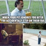 Sad Pablo Escobar | WHEN YOUR PET IGNORES YOU AFTER YOU ACCIDENTALLY STEP ON THEIR TAIL | image tagged in memes,sad pablo escobar | made w/ Imgflip meme maker