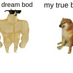 Buff Doge vs. Cheems | my dream bod; my true bod | image tagged in memes,buff doge vs cheems | made w/ Imgflip meme maker