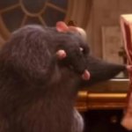 Rat punching meat