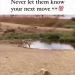 Never Let Them Know Your Next Move | image tagged in gifs,never let them know your next move | made w/ Imgflip video-to-gif maker