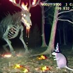 Opossum Wizard
