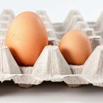 Egg Shadow