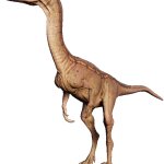 Coelophysis (JWE Design)