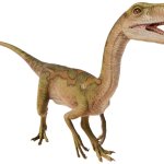 Segisaurus (JWE Design)
