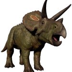 Torosaurus (JWE Design)