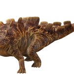 Wuerhosaurus (JWA Design)