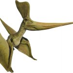 Geosternbergia (JWE Design)
