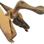 Maaradactylus (JWE Design)
