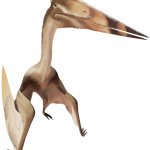 Thanatosdrakon (JWE Design)