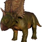 Chasmosaurus (JWE Design)
