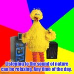 Listening to the sound of nature can be relaxing, any time of the day. | Listening to the sound of nature can be relaxing. Any time of the day. | image tagged in nature,bird | made w/ Imgflip meme maker