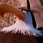 mighty eagle