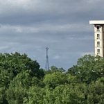 The tree tower watcher