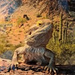 Peter Griffin the lizard
